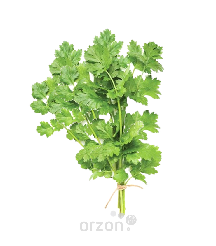 Зелень Кинза 1шт (пучок)