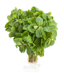 Зелень мята (пучок)