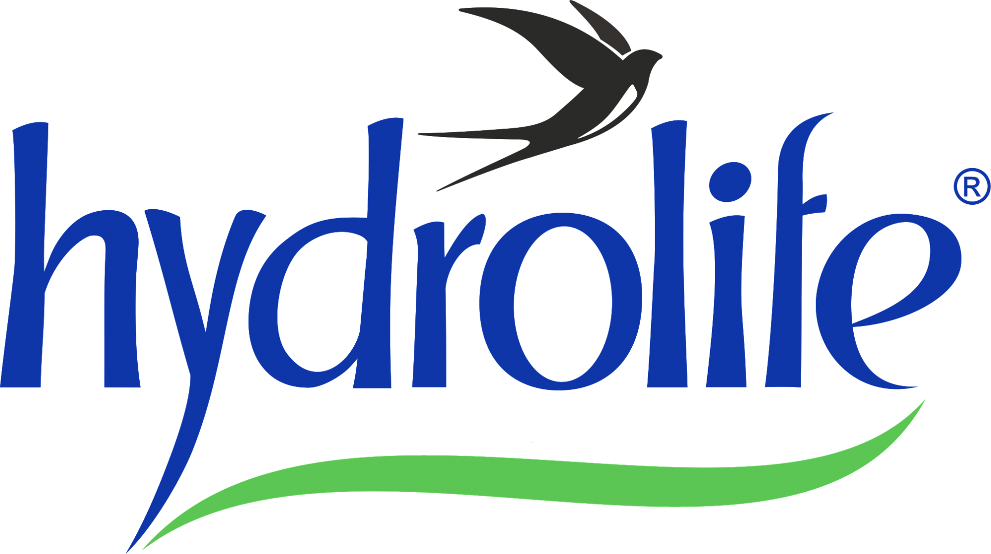 Hydrolife. Минеральная вода Hydrolife. Hydrolife 1.5. Минеральная вода Hydrolife 10. Логотип Hydrolife.