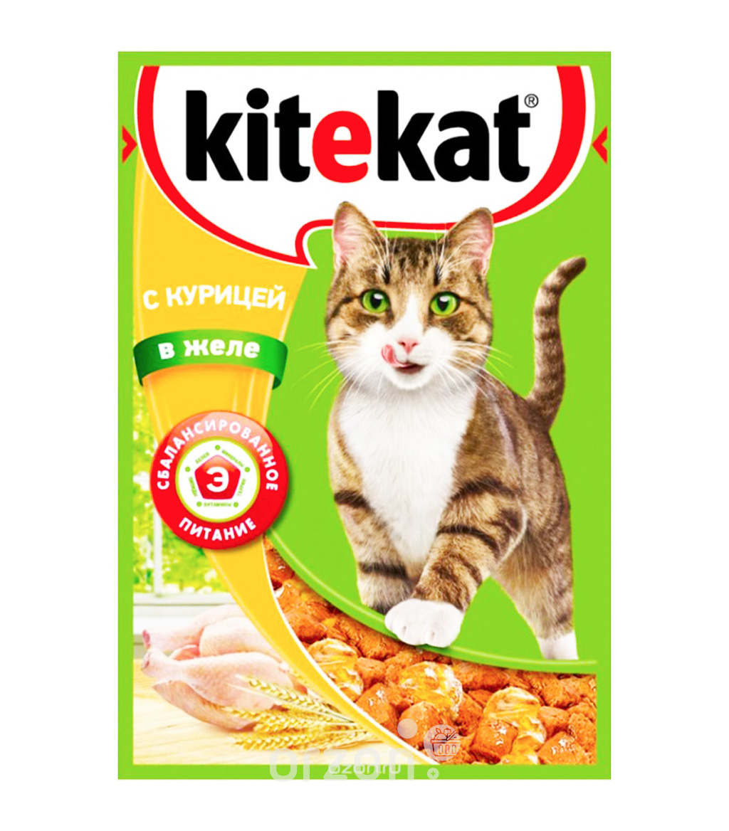 Корм для кошек "KiteKat" желе с Курицей 85 гр