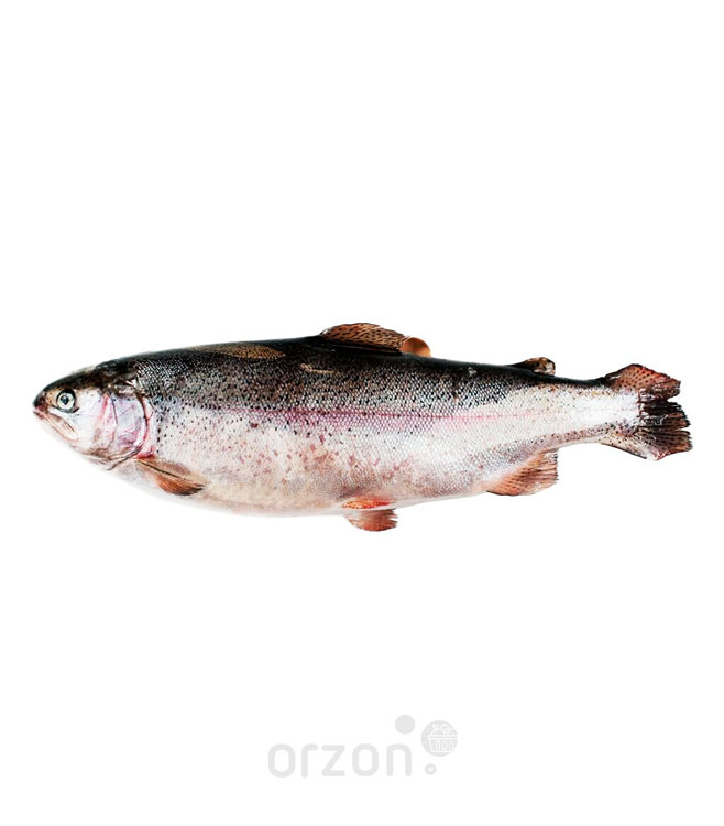 Рыба Форель радужная свежемороженая (от 2 до 3 кг) непотрошеная кг
