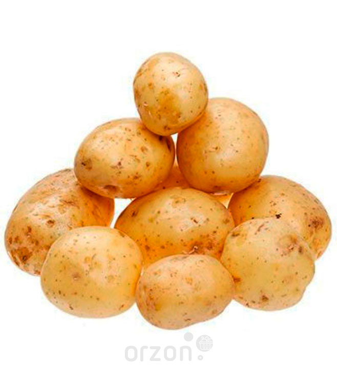 Картофель молодой красный (крупный) кг