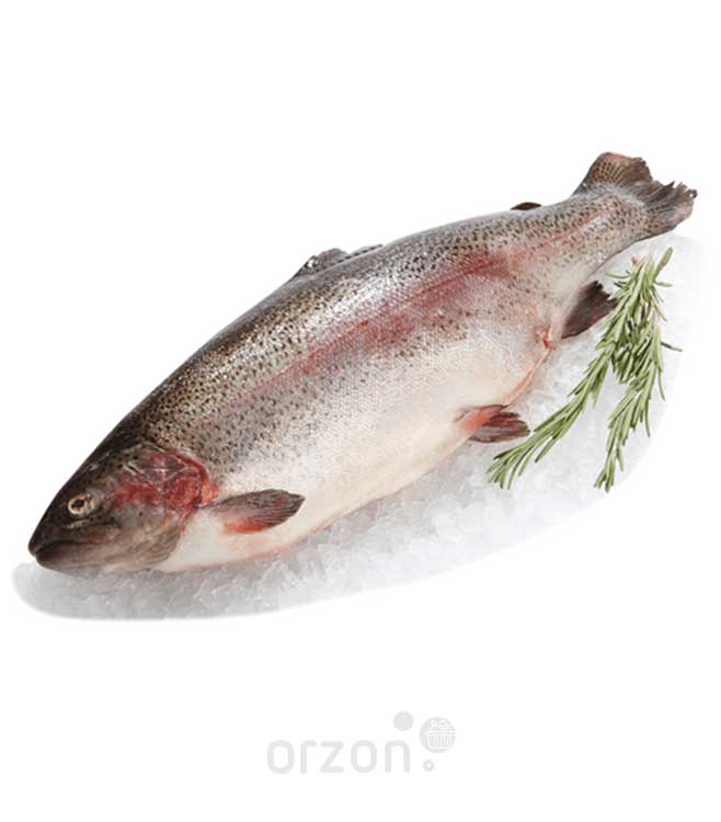 Рыба Форель радужная свежемороженая (3+ кг) непотрошеная кг