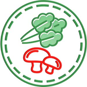 Овощи, Зелень, Грибы