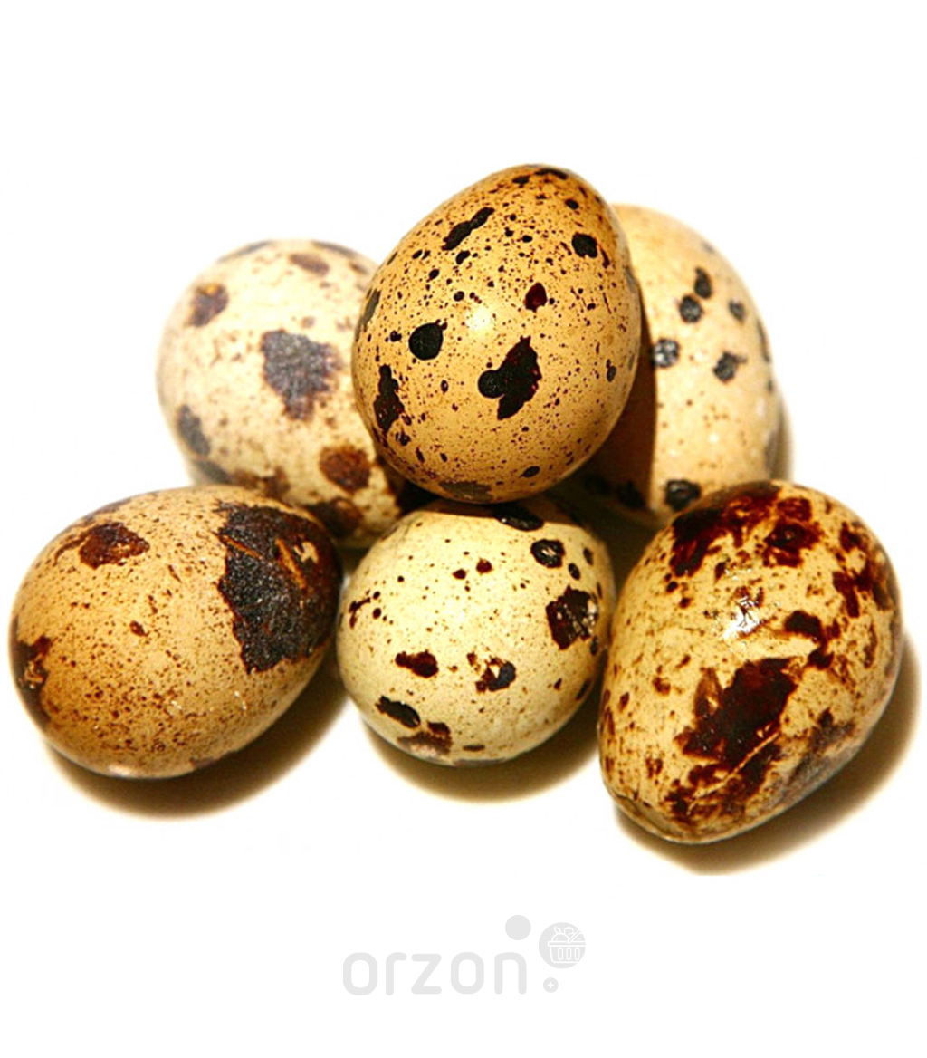 Яйца перепелинные 15 шт в Самарканде ,Яйца перепелинные 15 шт с доставкой на дом | Orzon.uz