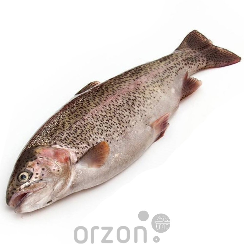 Рыба Форель радужная свежемороженная  (4+) кг (непотрошённая)