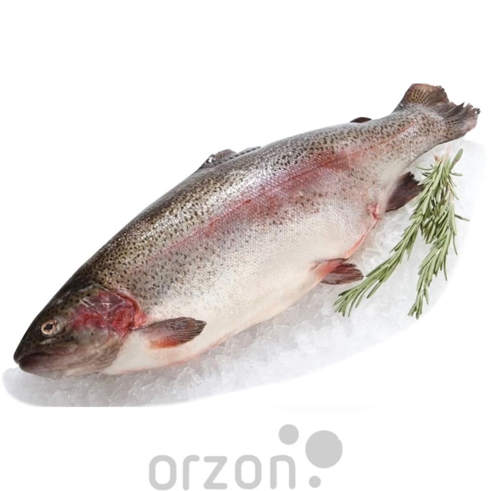 Рыба Форель радужная  свежемороженый (6+ кг) Непотрошеная кг