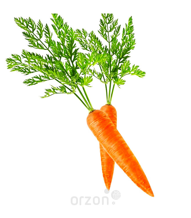 Морковь красная мелкая кг от интернет магазина Orzon.uz