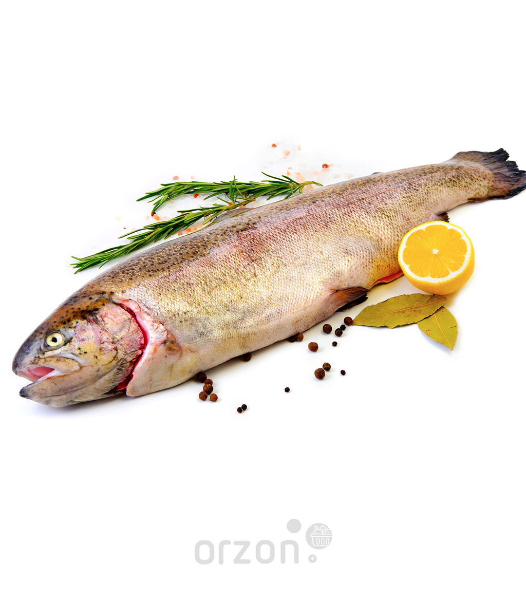 Рыба Форель радужная свежемороженая (потрошеная 2,5кг +) кг с доставкой на дом | Orzon.uz