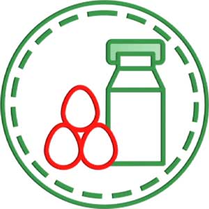 Молочные продукты и Яйца