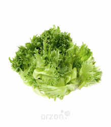 Салатный Лист 1 шт (пучок)