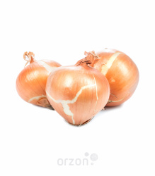 Лук Репчатый (молодой) кг