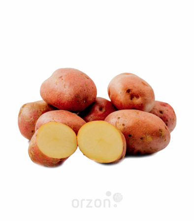 Картофель красный кг от интернет магазина Orzon.uz