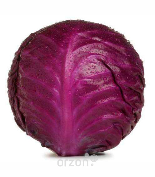 Капуста 'Красная' кг