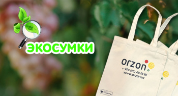 ЭКОСУМКИ В ORZON!