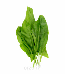 Зелень Щавель 1шт (пучок)