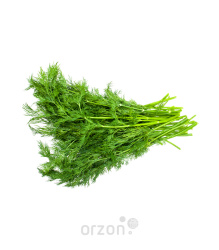 Зелень Укроп 1шт (пучок)