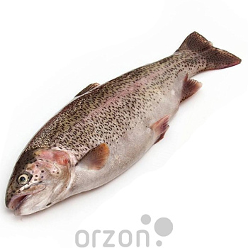 Рыба Форель радужная  охлаждённая (2+ кг) потрошеная кг