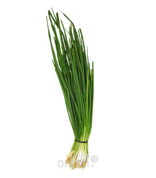 Зелень Лук 1шт (пучок)
