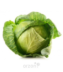 Капуста "Молодая" кг