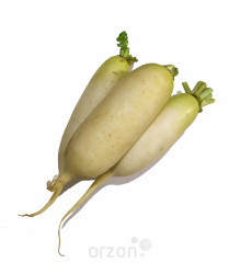Редька 'Дайкон' кг
