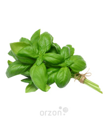 Базилик 1 шт (пучок)