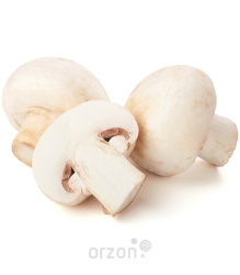 Грибы 'Шампиньоны' свежие кг