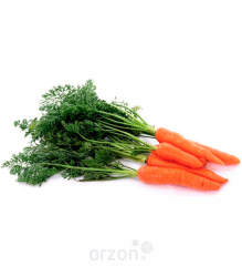 Молодая Морковь (3 шт) 1 пуч