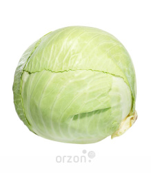 Капуста белокочанная кг